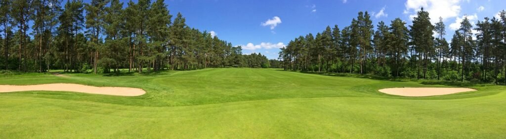 golf, nature, green, fairway, forest, trees, golf-club worpswede, golf course